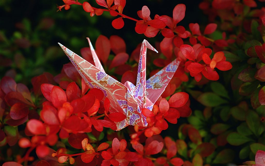 هنر زیبای اوریگامی